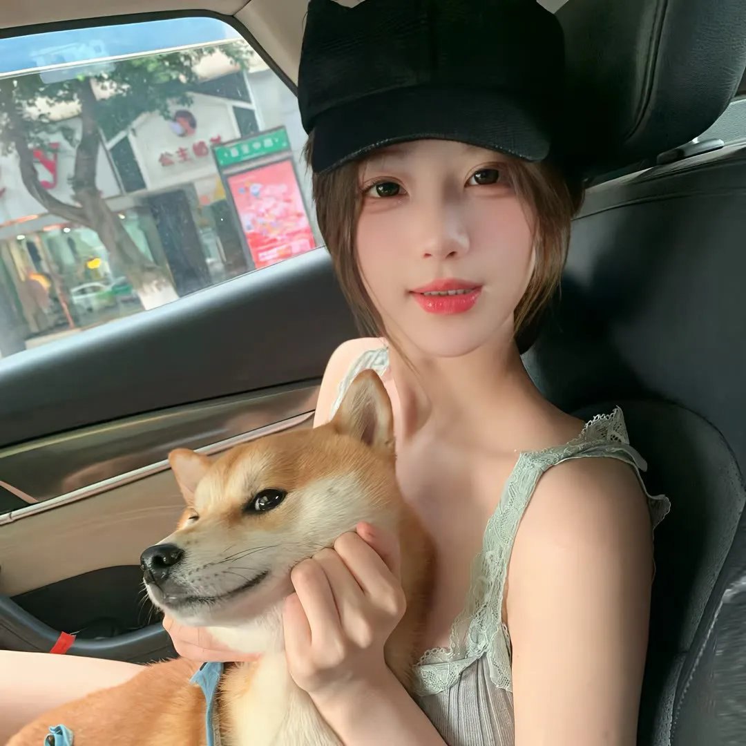 痴情快婿